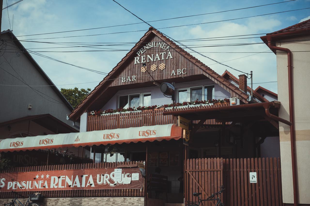 Pensiunea Renata Boghiş Exterior foto